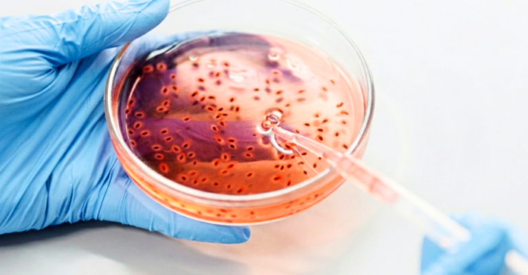 Microorganismos los obreros invisibles de la industria farmaceutica