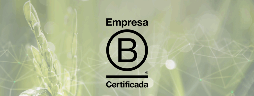 Somos B Corp